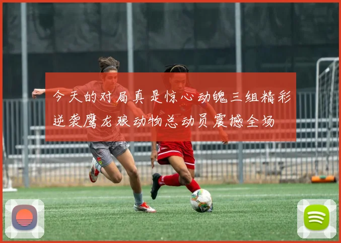 今天的对局真是惊心动魄三组精彩逆袭鹰龙狼动物总动员震撼全场