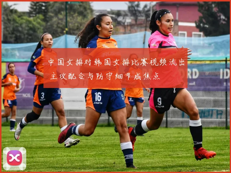 中国女排对韩国女排比赛视频流出 主攻配合与防守细节成焦点